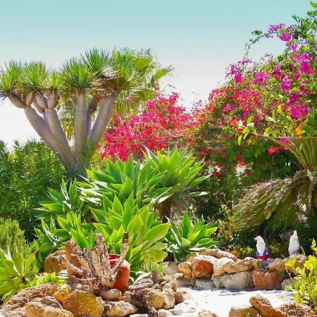 Casa Rosa, Arico Viejo - Baden, Wandern, Klettern, Individualurlaub Jenseits Des Massentourismus, La Sabinita