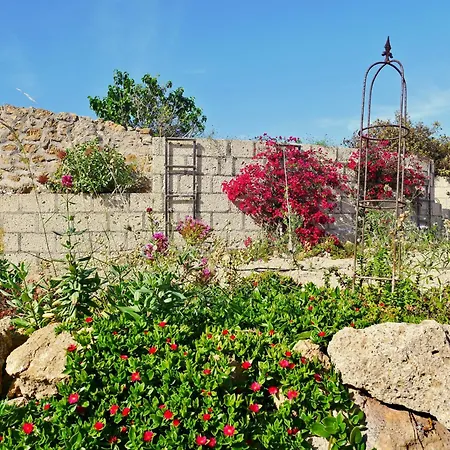 Casa Rosa, Arico Viejo - Baden, Wandern, Klettern, Individualurlaub Jenseits Des Massentourismus, *